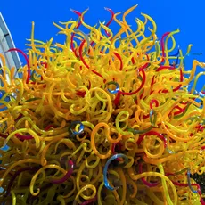 Vibrant glass sculpture with twisting yellow and red tendrils under a blue sky, adjacent to the Space Needle.