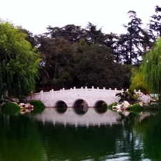 An ornate white bridge with three arches spans a calm lake, framed by overhanging willows, at Huntington Botanical Gardens, reflecting Chinese architecture amid lush greenery.